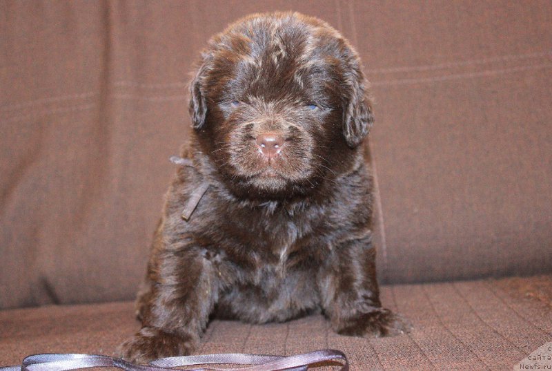 Фотография № 223262