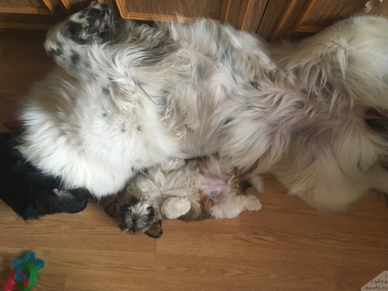 Фотография № 223285