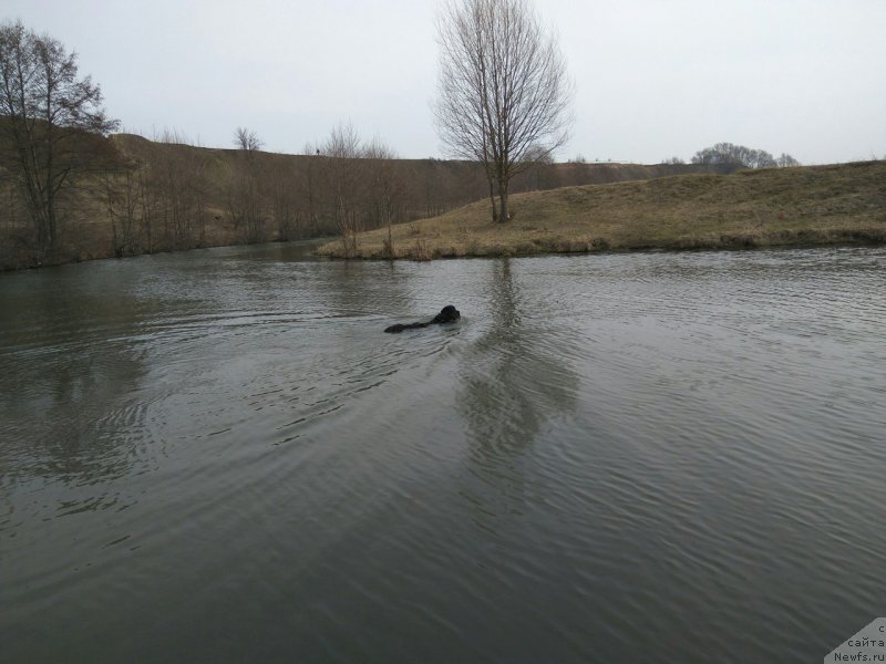 Фотография № 223299