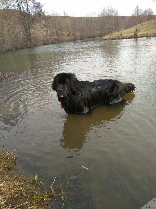 Фотография № 223301