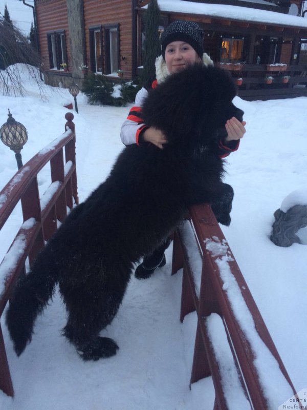 Фотография № 223323