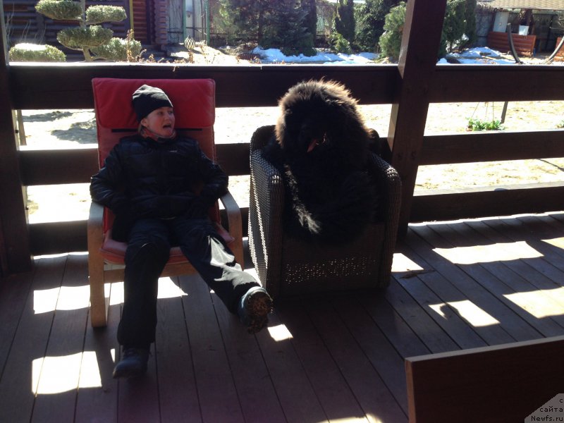 Фотография № 223324