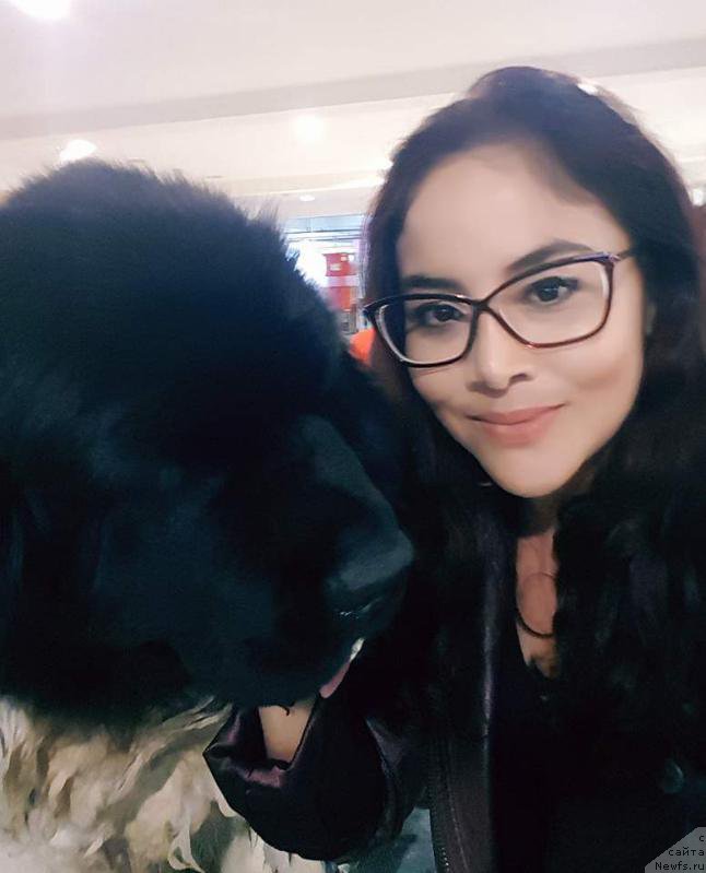 Фото: ньюфаундленд Терра Виктория Валентинка