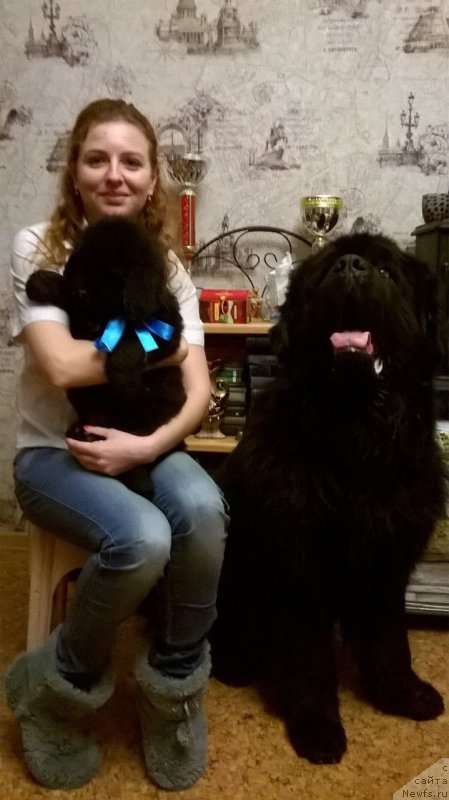 Фото: ньюфаундленд Идеал Тейст оф Виктори (Ideal Taste of Victory), ньюфаундленд Матвей с Берега Дона (Matvey s Berega Dona), Виктория Нещерет