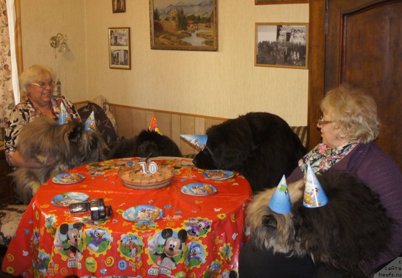 Фотография № 223343