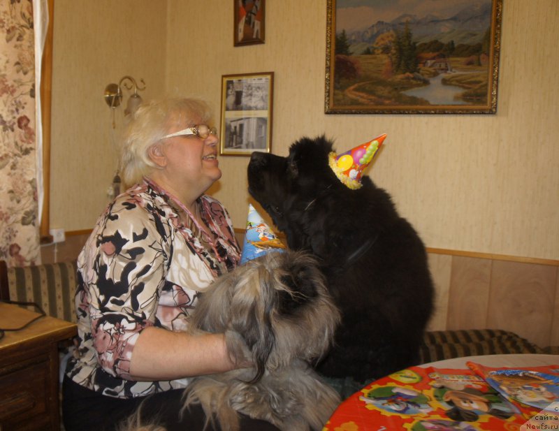 Фотография № 223345