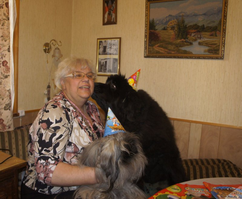 Фотография № 223346