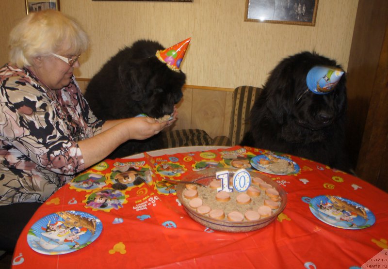 Фотография № 223350