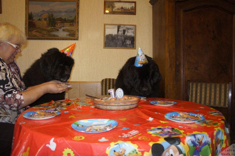 Фотография № 223351