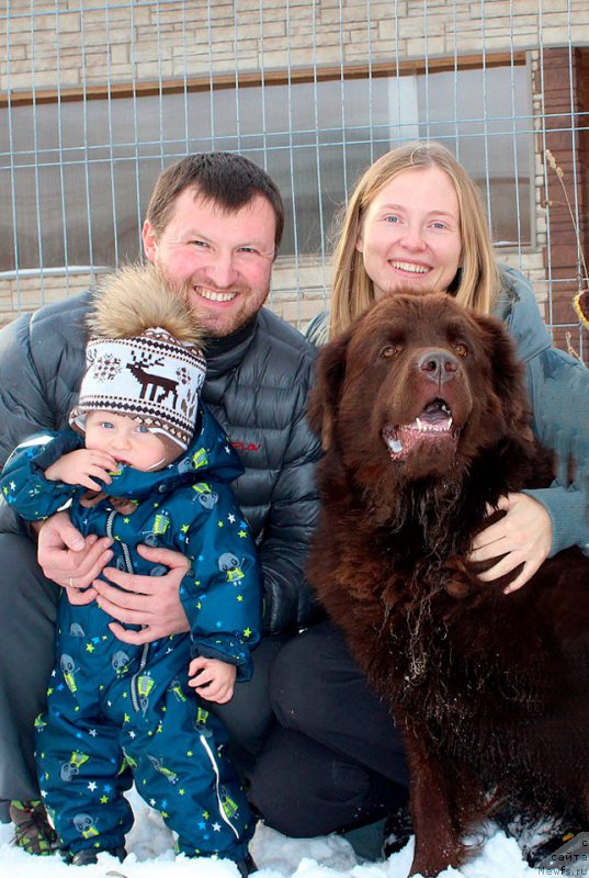 Фото: ньюфаундленд Чара Хани Лес (Chara Hani Les)