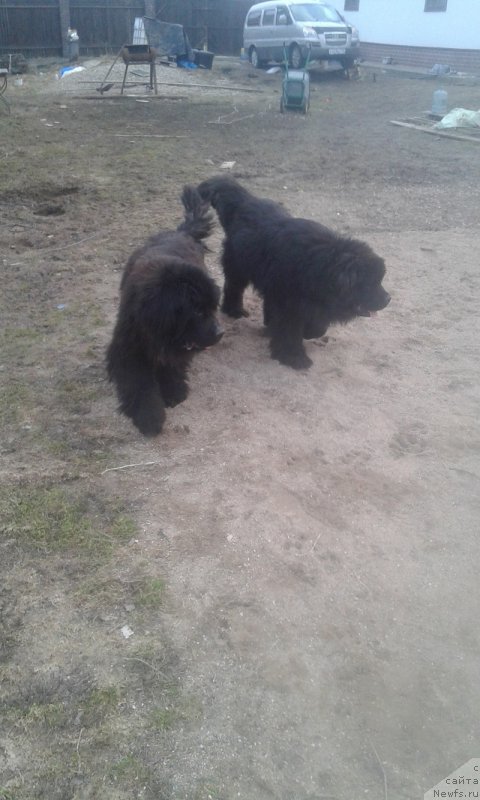 Фотография № 223369