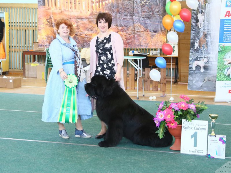 Фотография № 223373