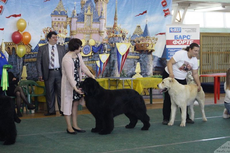 Фотография № 223374