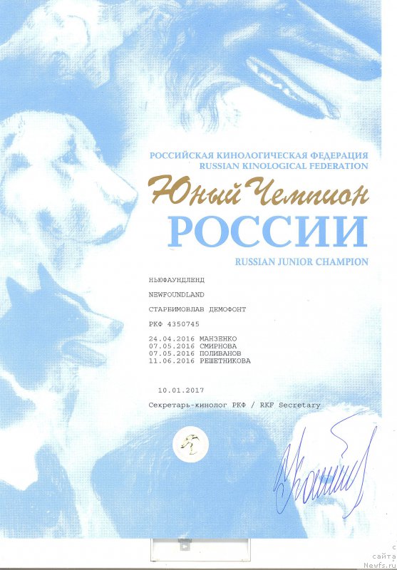 Фото: ньюфаундленд Старбимовлав Демофонт