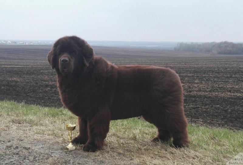 Фотография № 223408