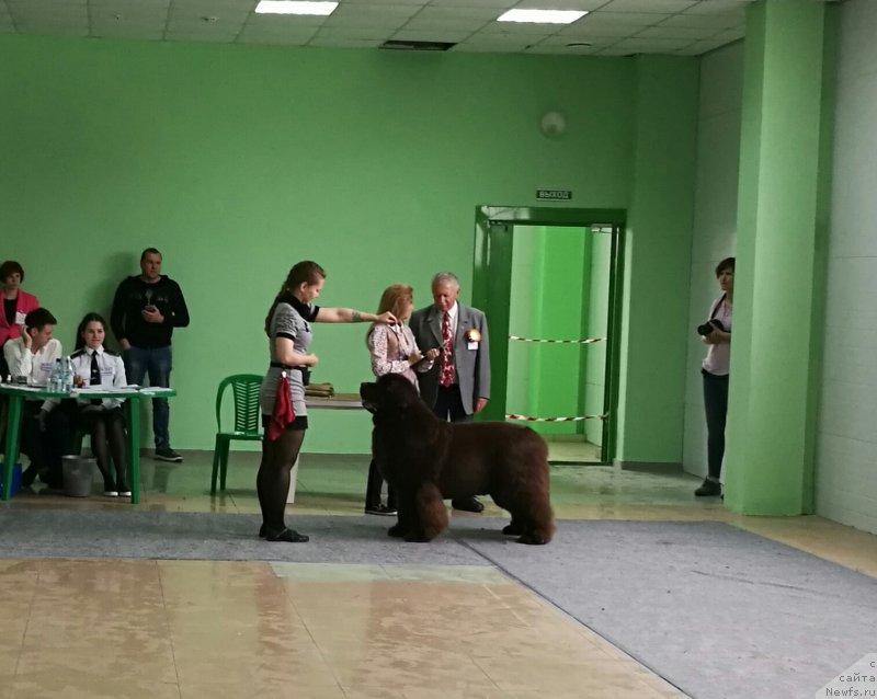 Фотография № 223409