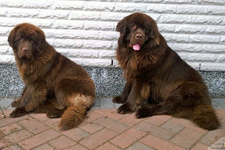 Фотография № 223422