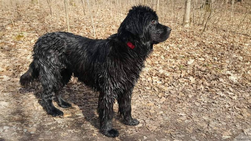 Фотография № 223427