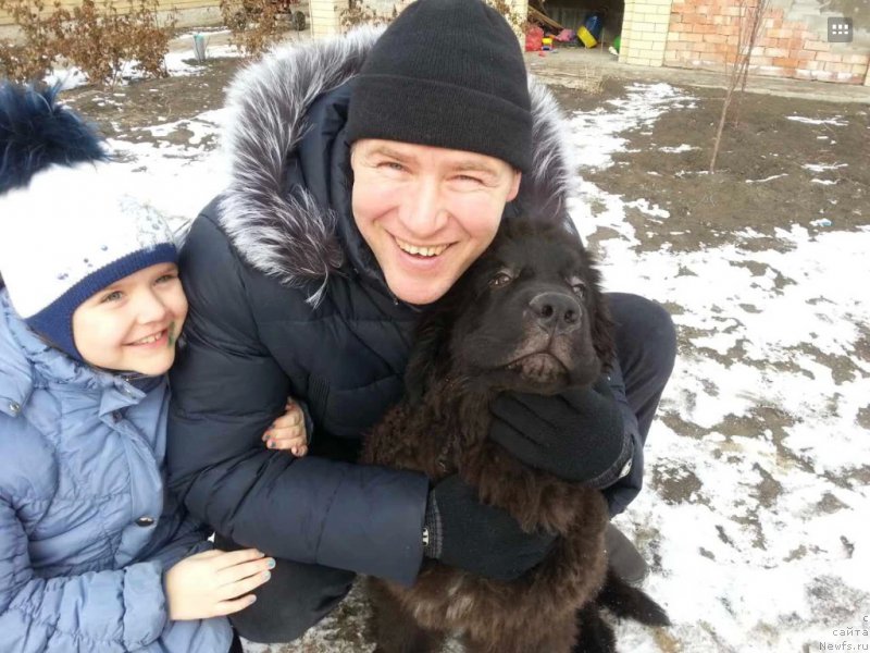 Фото: ньюфаундленд Черная Мафия Бреакинг Тхе Лав (Chernaya Mafia Breaking The Law)