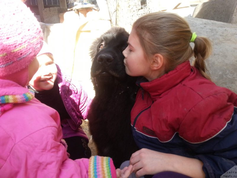 Фотография № 223432