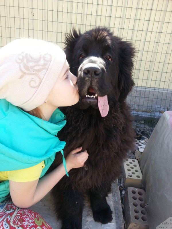 Фотография № 223440