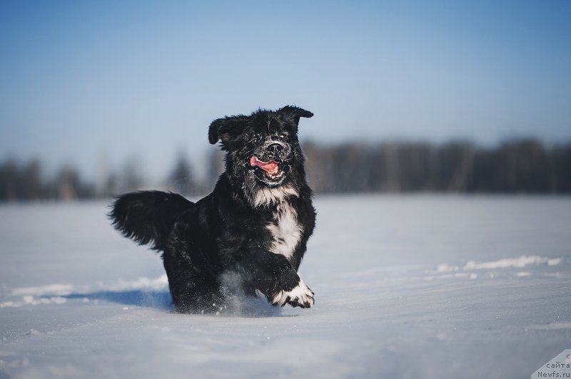 Фотография № 223445