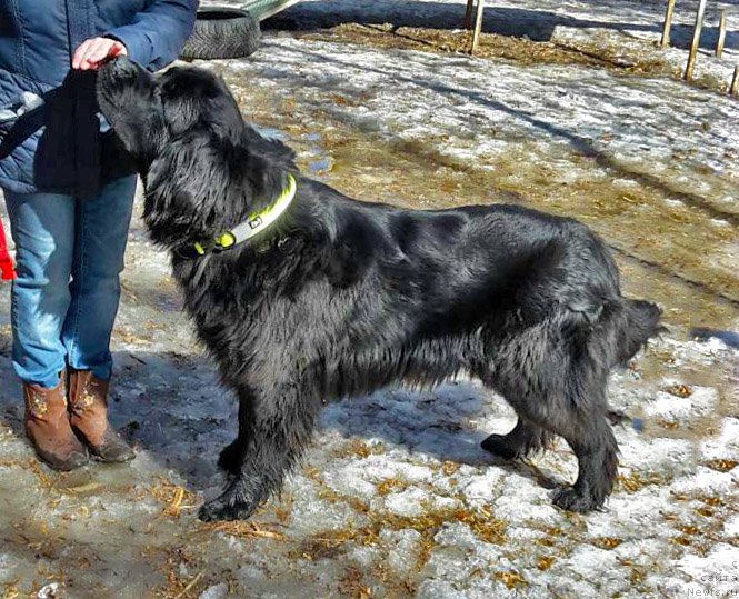 Фотография № 223455