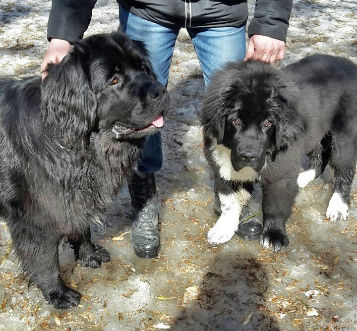 Фотография № 223457