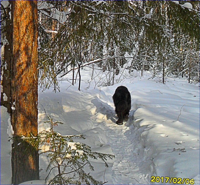 Фотография № 223495