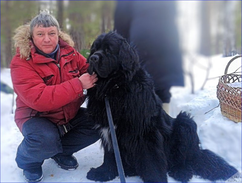 Фотография № 223510