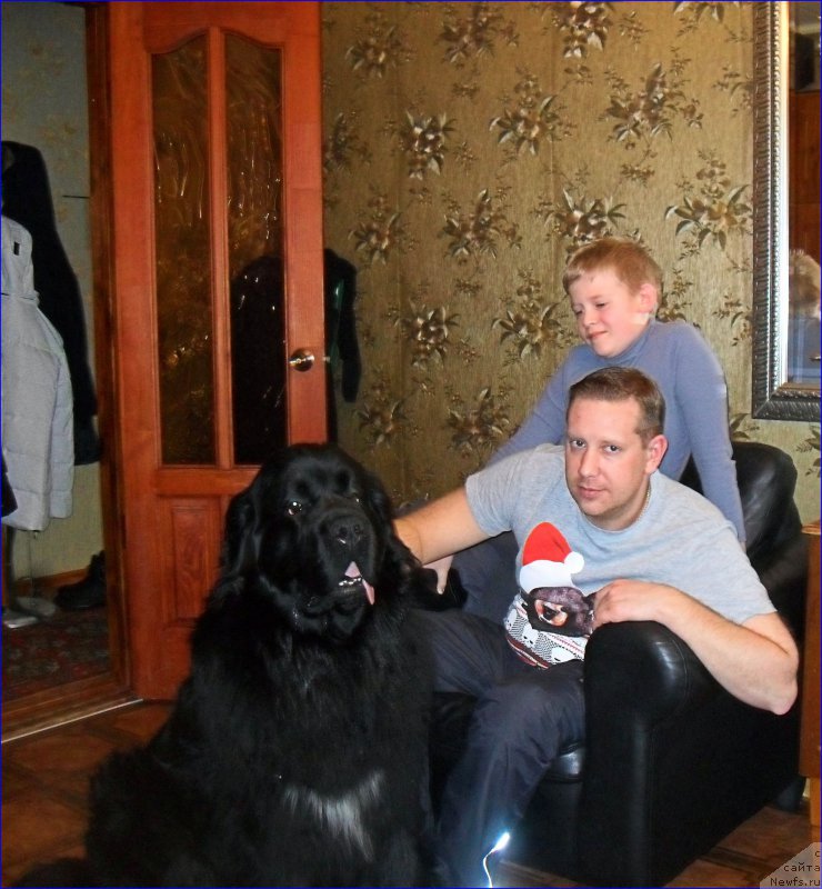 Фотография № 223513