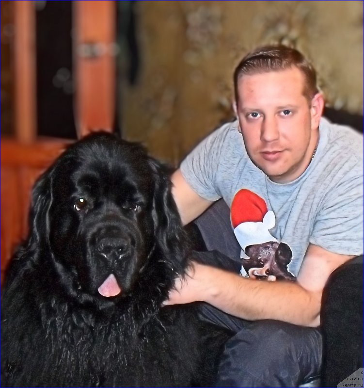 Фотография № 223515