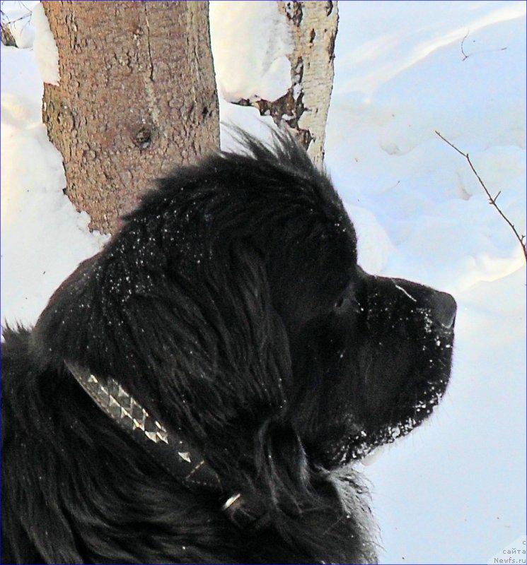 Фотография № 223517