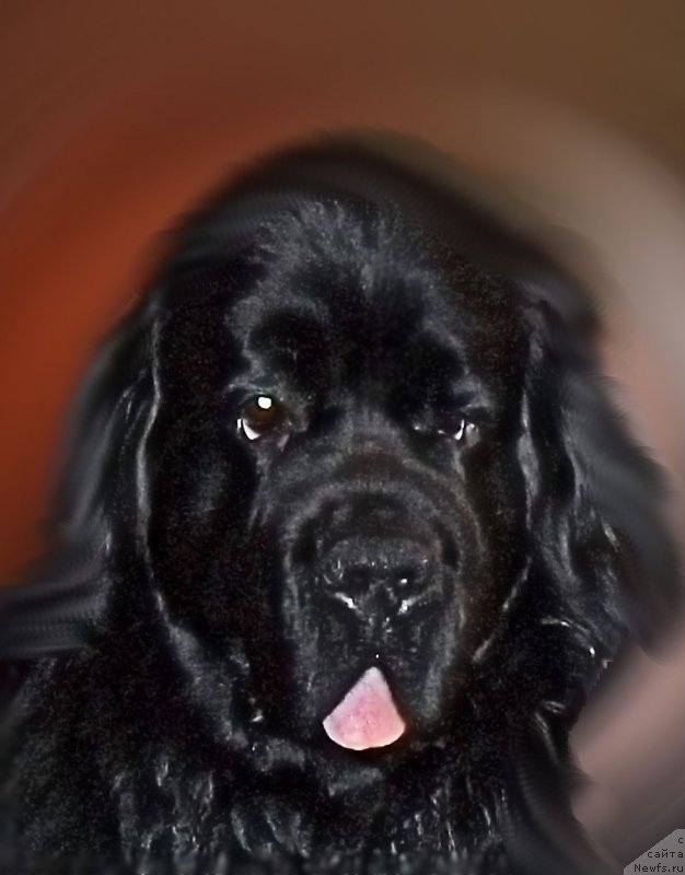 Фотография № 223520