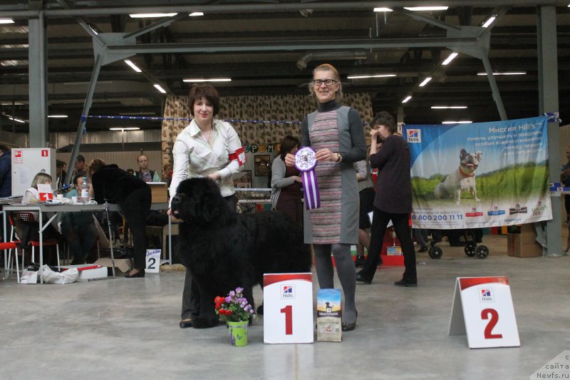 Фотография № 223528