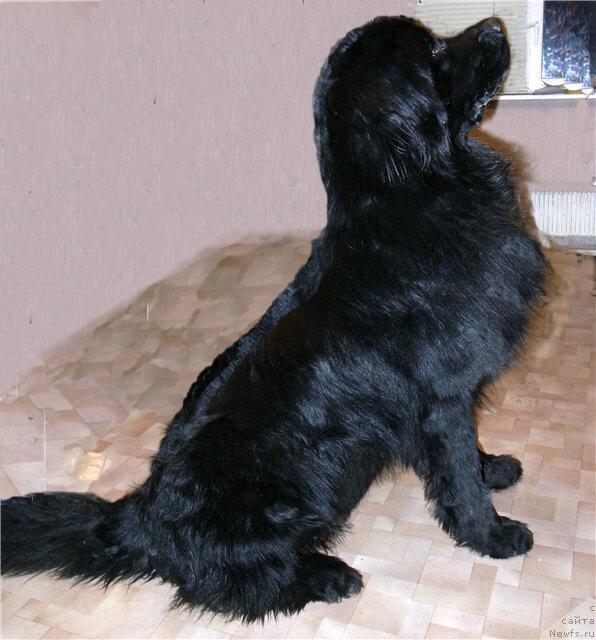 Фото: Ольга Ломтева