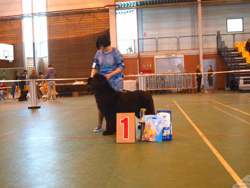 Фотография № 223532