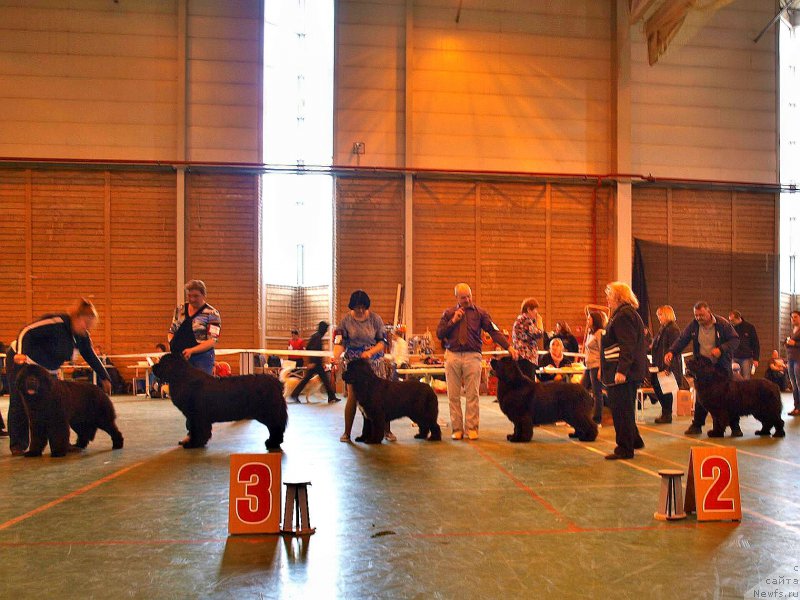 Фотография № 223535