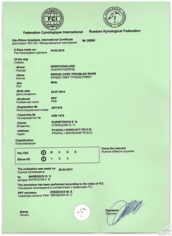 Фото: ньюфаундленд Бридж Овер Траблд Ривер (Bridge Over Troubled River)