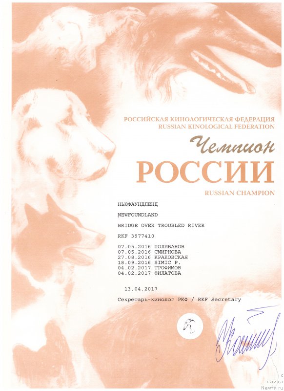 Фото: ньюфаундленд Бридж Овер Траблд Ривер (Bridge Over Troubled River)