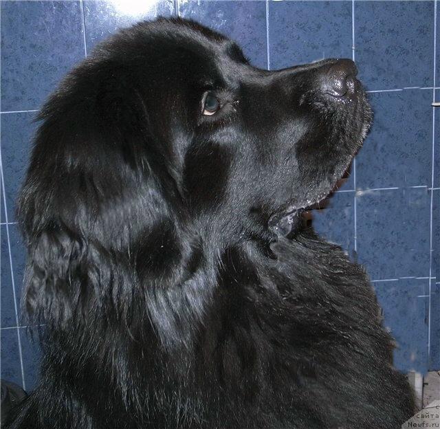 Фото: Ольга Ломтева