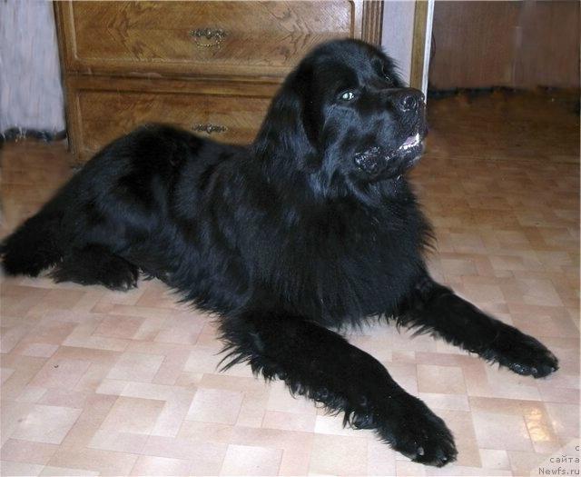 Фото: Ольга Ломтева