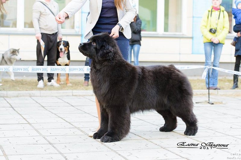 Фотография № 223649