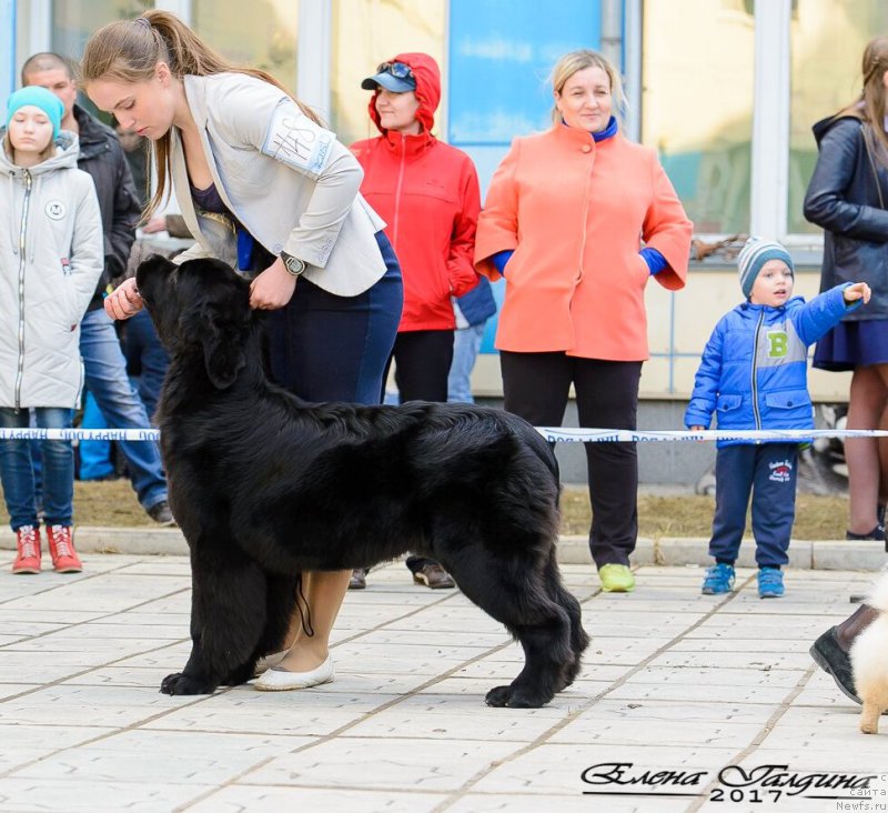 Фотография № 223653