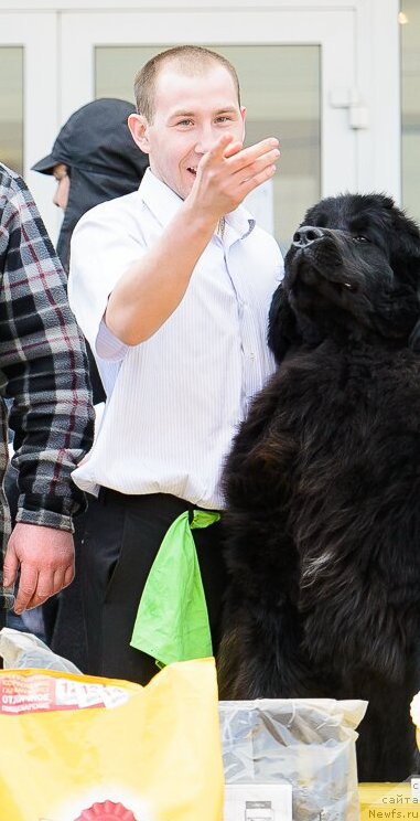 Фотография № 223655