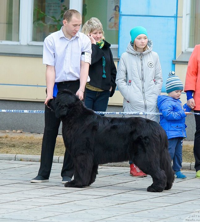 Фотография № 223656