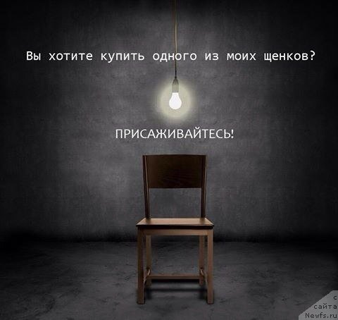 Фотография № 223678