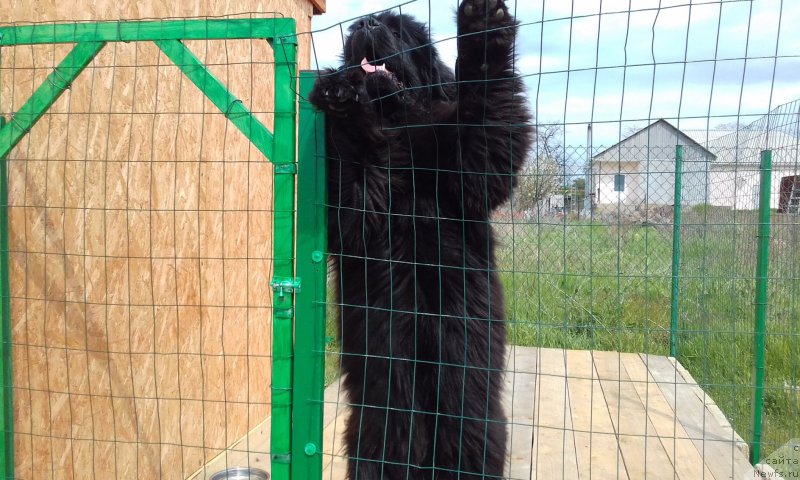 Фотография № 223713