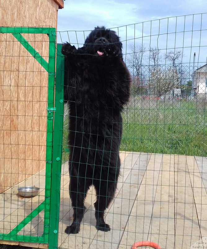 Фотография № 223714