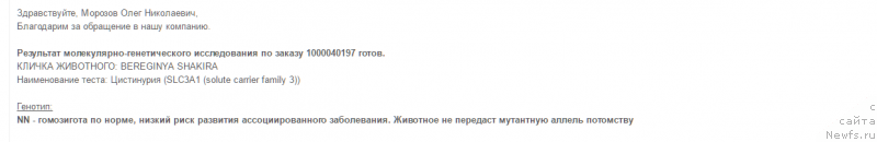 Фото: ньюфаундленд Берегиня Шакира (Bereginya Shakira)